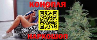 стаф Лесосибирск