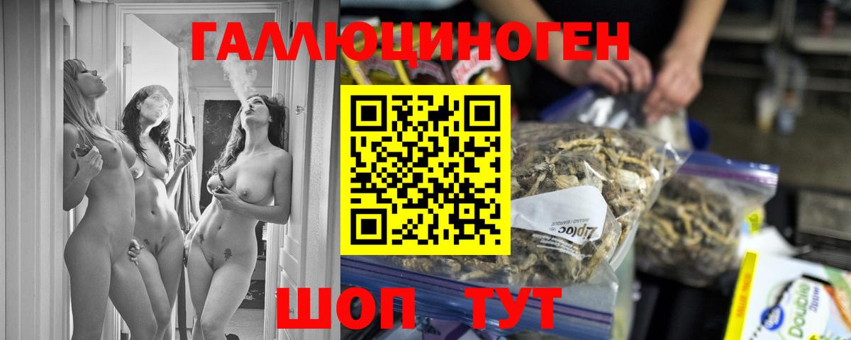 Псилоцибиновые грибы Cubensis  Вход с VPN  Зеленогорск  Галлюциногенные грибы мицелий 